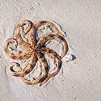 Profile Image for Lisa.