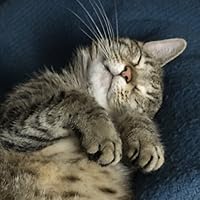 Profile Image for ☮Karen.