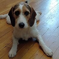 Profile Image for None Ofyourbusiness Loves Israel.