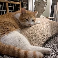 Profile Image for Kay.