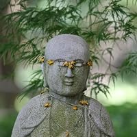 Profile Image for Jim.