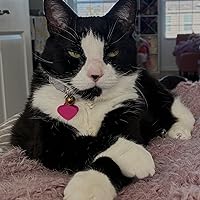 Profile Image for CatReader.