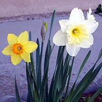 Profile Image for Chris.