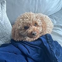 Profile Image for Anita Pomerantz.