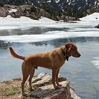 Profile Image for Dax.