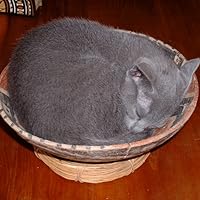 Profile Image for Peter Tillman.