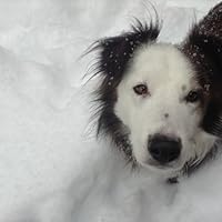 Profile Image for Diana.